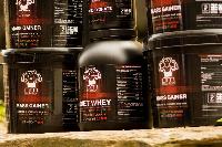 PM Nutrition Impact Whey