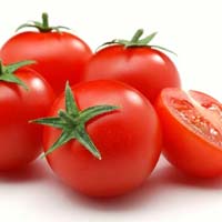 abhinav tomato