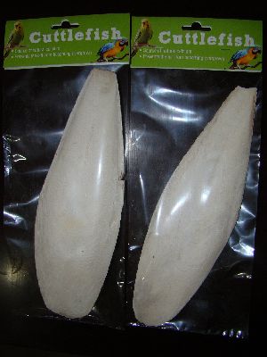 Cuttle Fish Bone