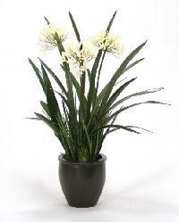 6136 Cream White Agapanthus Orchid Foliage Black Pot Floor Basket