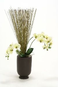 6933 Orchids Marsh Reeds Succulents Matte Black Wood Vas Floor Basket
