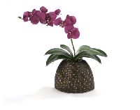 7516C Violet Phaleonopsis Orchids Woven Bamboo Pattern Vase