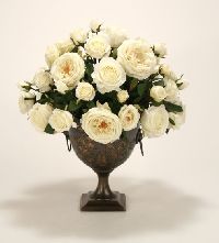 Cream White Ivory Roses