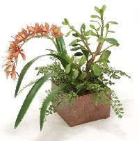Jade Plant Rust Orchid Maiden Hair Fern Floor Basket