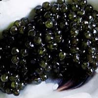 Fresh Caviar