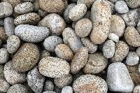 pebbles stones