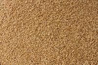 Foxtail Millet- (Thinai Rice)