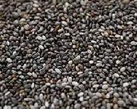 Chia Seeds in Tamil Nadu - Manufacturers and Suppliers India