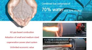 Hydrogen Burner Hydrogen Burner