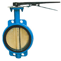 Rotary Motion Butterfly Valve