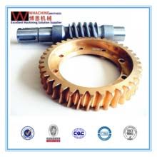 Customize Precision Metal Worm Gear