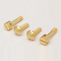 Brass Electrical Screws