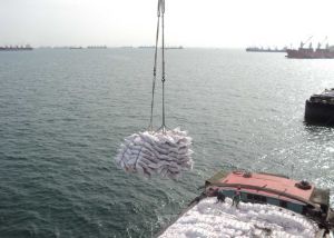 Cargo Shipping Services