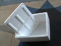 Thermocol Container