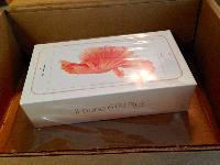 Apple Iphone 6 S Plus Rose Gold 64gb