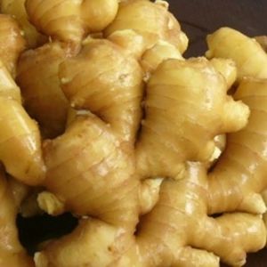 ginger,  Cultivation Type :Organic