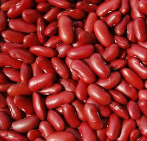 red kidney beans