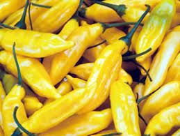 Yellow Chili