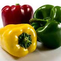 Fresh, Organic & Preserved Vegetables