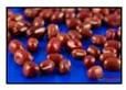 Adzuki Beans