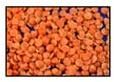 Red Split Lentils