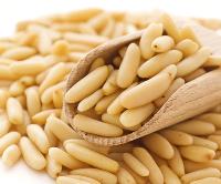 100% High Purity Pine Nuts fo sale