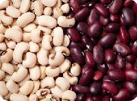 Red and White kidney beans