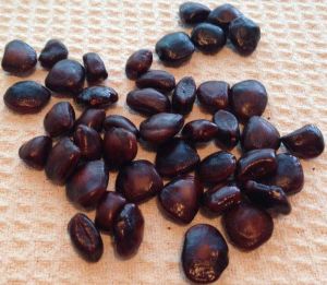 tamarind seeds