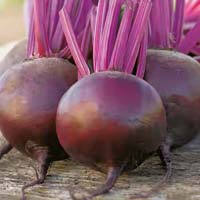 Fresh Beetroot