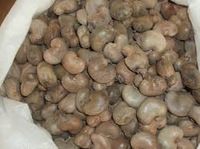 Raw Cashew Nuts,  Processing Type : Raw
