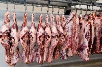 meat processing plants