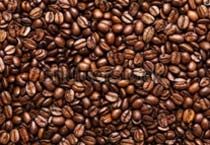 coffee beans,  Variety : Arabica Cherry