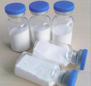 Human Growth Bodybuilding Tesamorelin