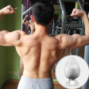 Durabolindecanandrolone For Body Building Deca Durabolin