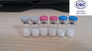 Weight Loss Peptides Gh Fragment 176-191 2mg Per Vial HGH Fragment 176