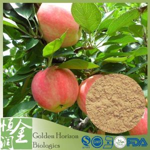 Apple Polyphenols