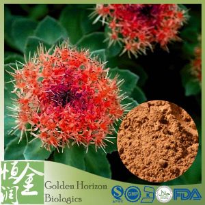 Rhodiola Rosea Root Extract Salidroside Rosavin