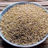 Dehusked Foxtail Millet Rice