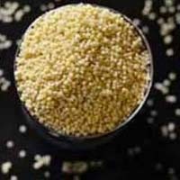 Semi Polished Foxtail Millet Rice
