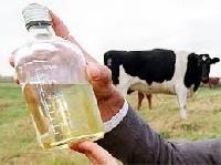 Cow Urine Pesticides
