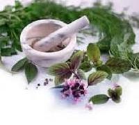 diabetic herbal medicine