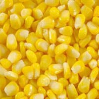 Yellow Maize Dulce