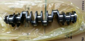 Crankshaft For Cheryl