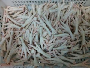 Chicken Feet, Condition : frozen, Certification : HACCP, CE, HALAL