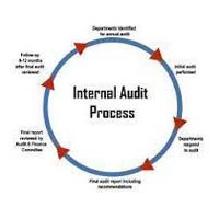 Internal And Management Audit