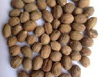 Dried Shelled Nutmeg