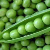 Green Pea