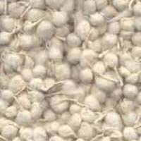 Aushadhi Cotton Wicks
