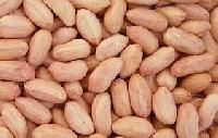 Peanut grain