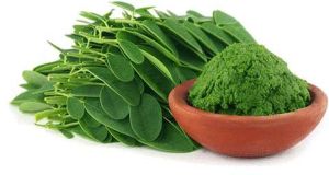 moringa leaf powder
